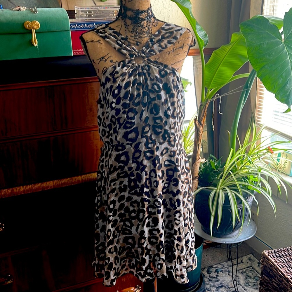 Bisou Bisou Dress
